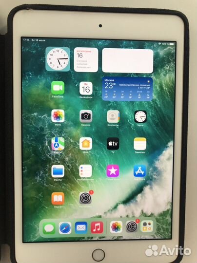 iPad mini 4 16gb