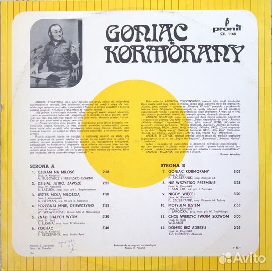 Gonic Kormorany - Przeboje Andrzeja Tylczyskiego