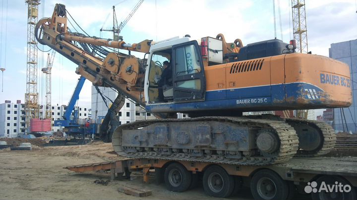 Разбор Бауэр Bauer