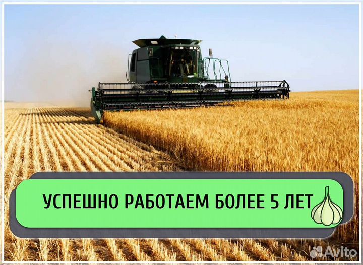 Ищу инвестора / Пассивный доход