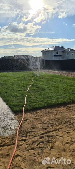 Газон от производителя