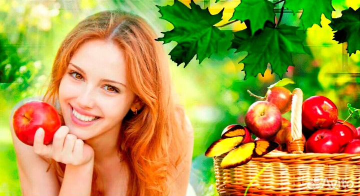 Сборщик яблок. Вахта