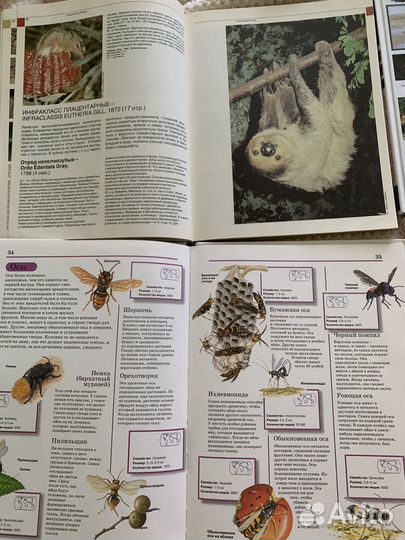 Книги для детей пакетом