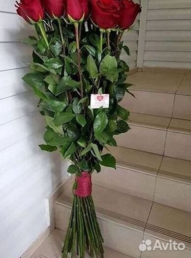 Букет роз 101 роза 51 роза