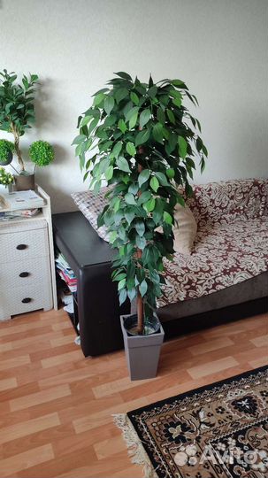 Искусственные деревья, искусственные цветы, зелень