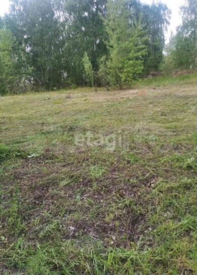 Участок 15 сот. (СНТ, ДНП)