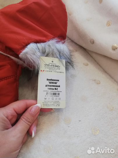 Новый комбинезон для карликовой таксы (Катюшки)