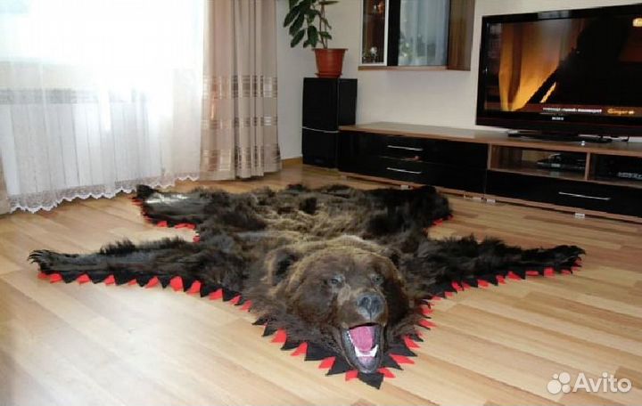 Таксидермия. Чучела на заказ