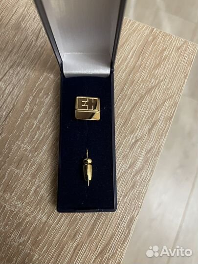 Почётный знак корпорации Endress + Hauser