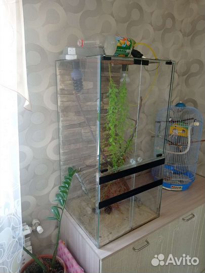 Террариум для хамелеона