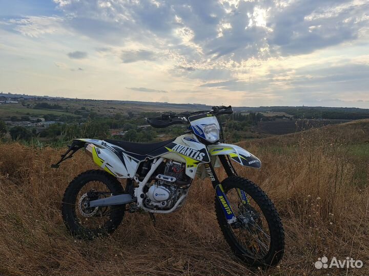 Avantis FX 250 LUX
