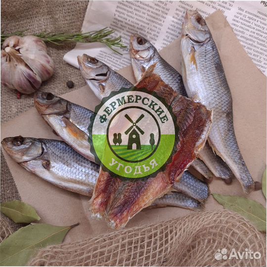 Рыба северная Язь Муксун Омуль Чир Чебак Пелядь