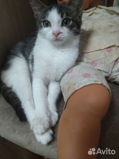 Мила