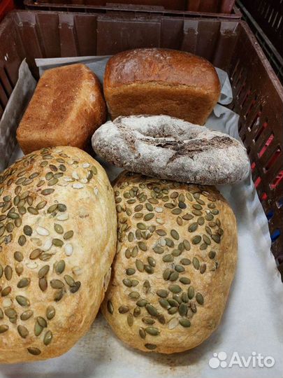 Хлеб на корм животным