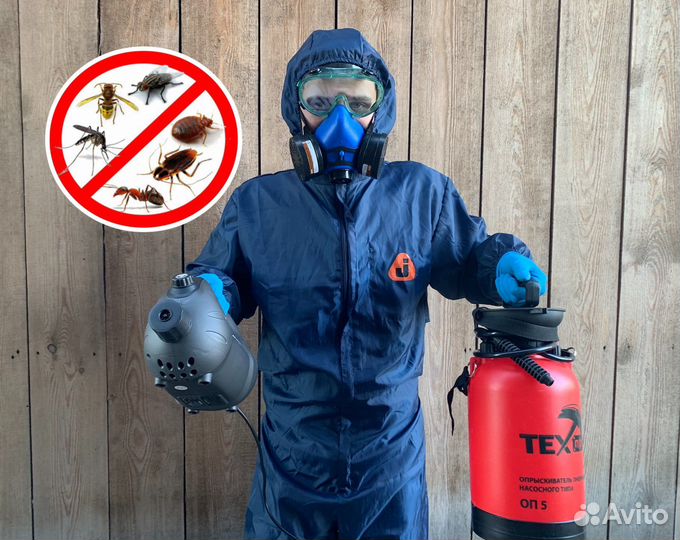 Дезинсекция