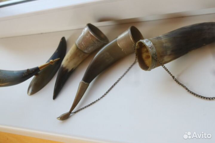 Рог охотн. питевой трофей