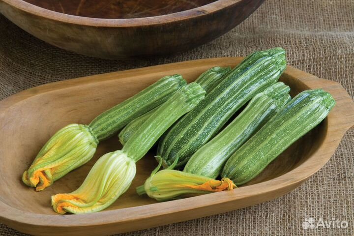 Семена кабачков