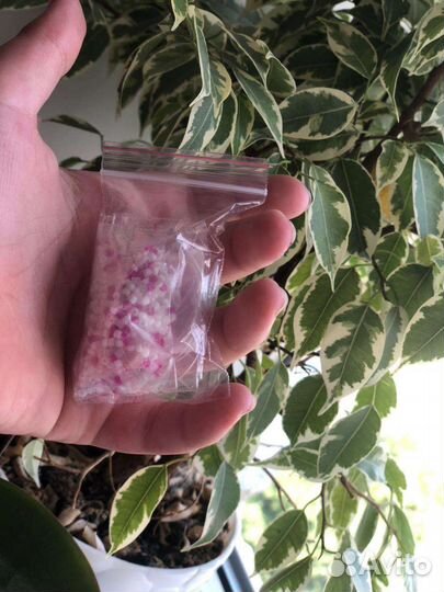 Бокс из бисера сделай сам