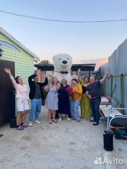 Белый мишка поздравление и Панда