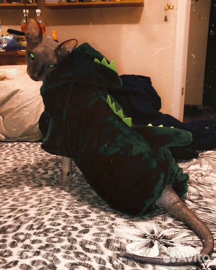 Костюм для животных