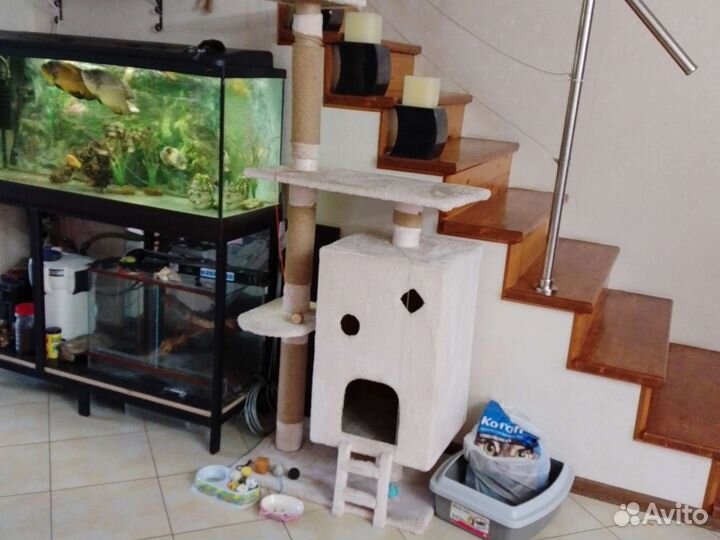 Домик для кошки с иными аксессуарами