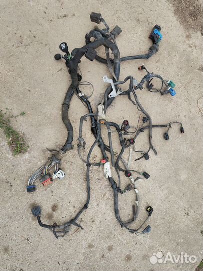 Моторный жгут проводки Focus 2 2.0 АКПП