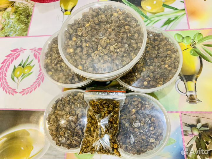 Перга 2023. Перга натуральная. Перга полезная. Мед