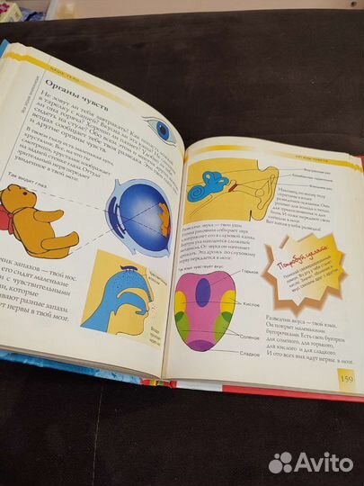 Энциклопедия