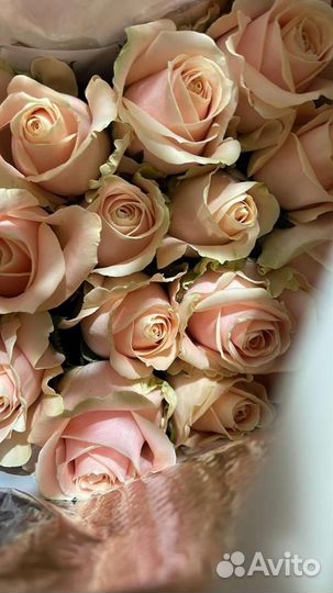 Розы с крупным бутоном 60 см