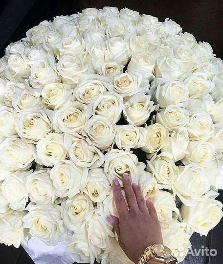 Высокие розы Гигантские розы 110