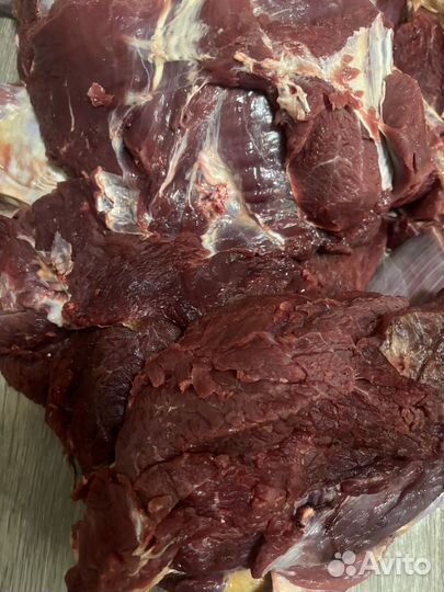 Мясо говядина
