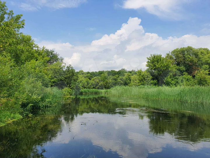 Участок 10 сот. (ИЖС)