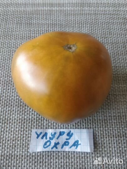 Семена сортовых томатов