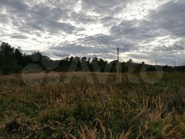 Участок 1,5 га (ИЖС)