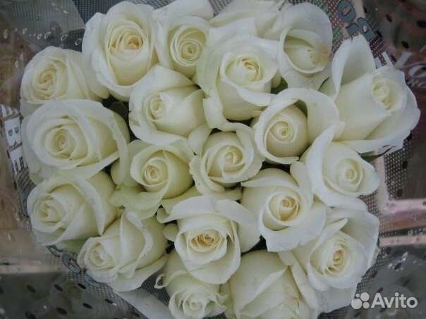 Цветы розы букет