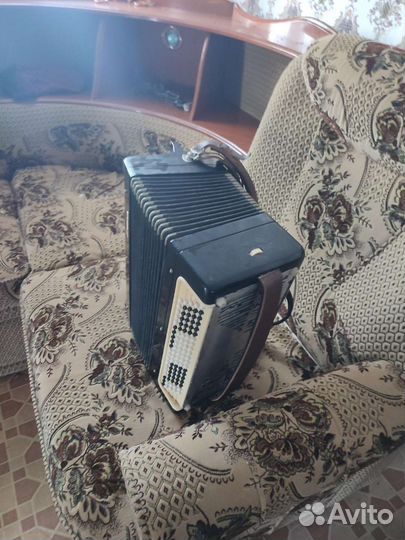 Баян тульский