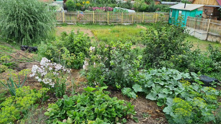 Участок 12 сот. (СНТ, ДНП)