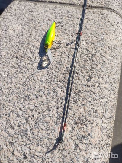 Спиннинг на троллинг