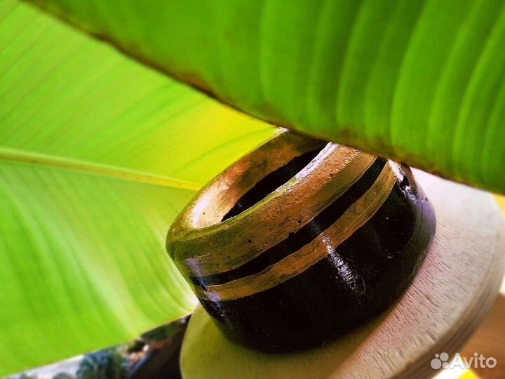 Горшок для цветов из арт-бетона