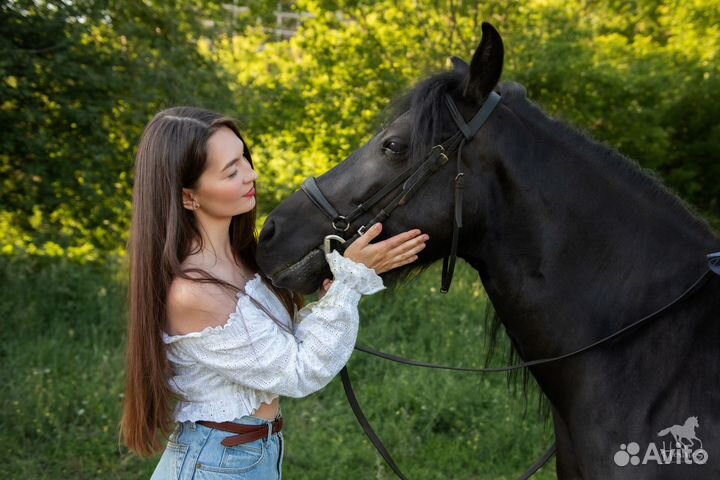 Фотосессия с лошадками