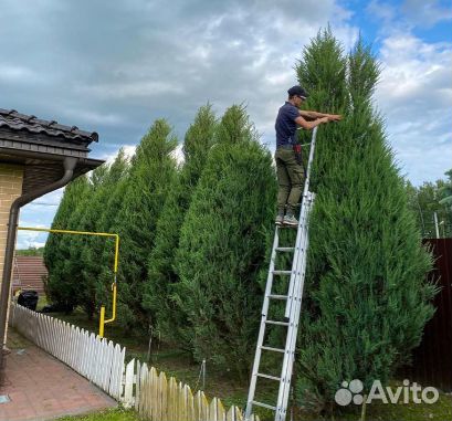 Садовник. Уход за садом. Озеленитель