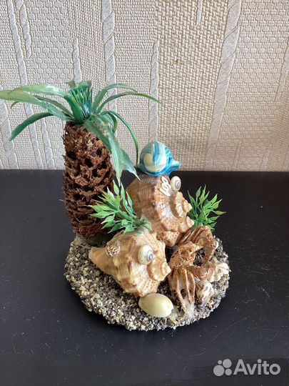 Сувенир с натуральными ракушками