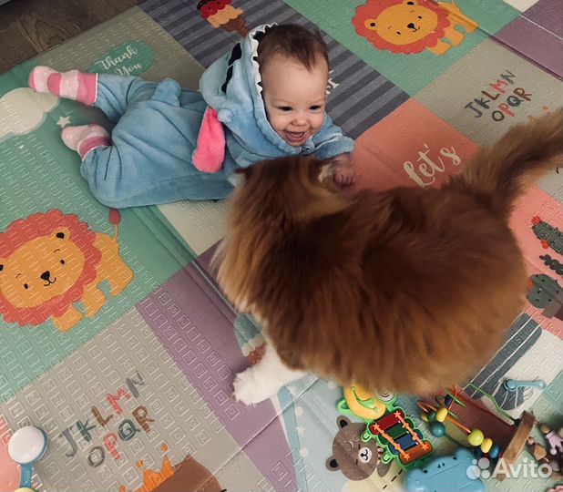 Няня для ребенка