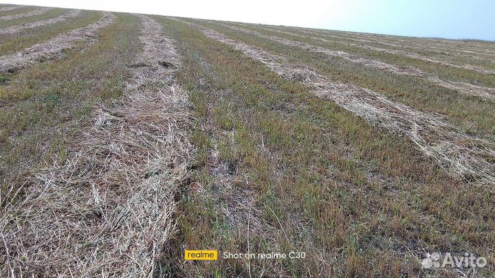 Сена и солома