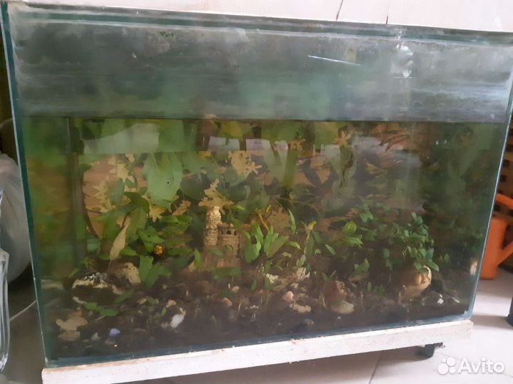 Аквариум