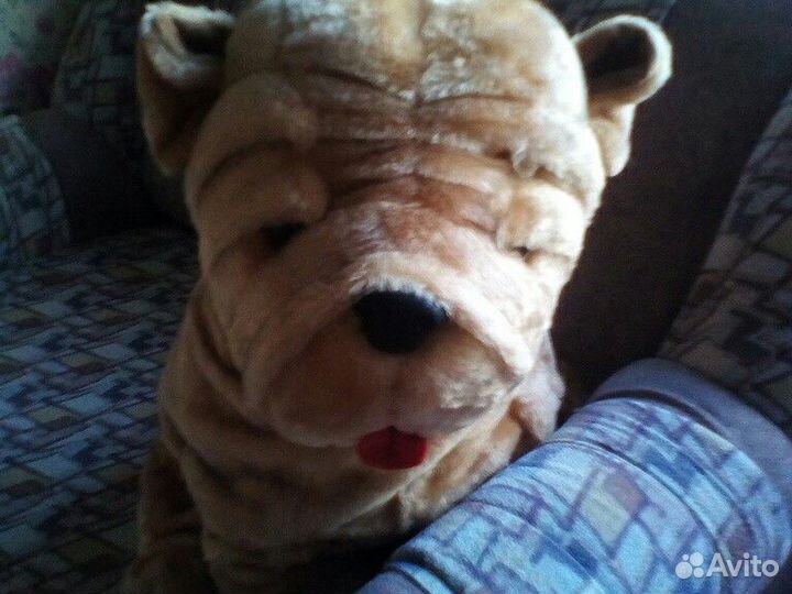 Большой пес