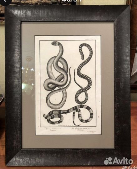 Старинная гравюра