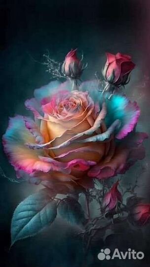 Продам телочек