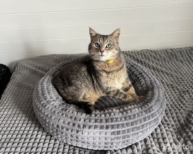 Лежанка для животных плюшевая в ассортименте