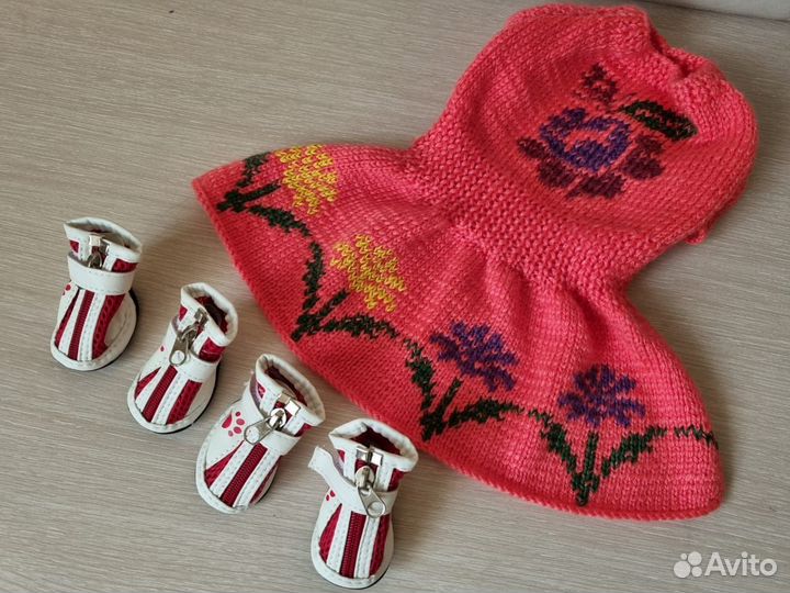 Одежда для маленьких собак